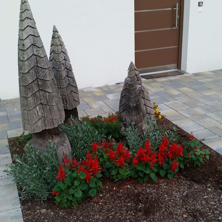 Masetto Egidio Eco-Agritur Villa Strigno ภายนอก รูปภาพ
