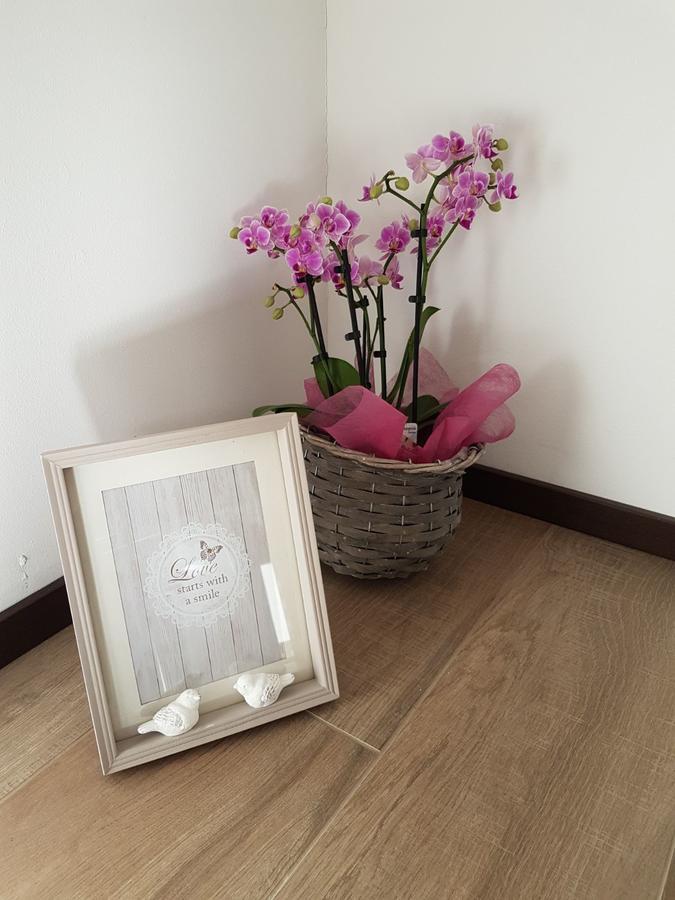 Masetto Egidio Eco-Agritur Villa Strigno ภายนอก รูปภาพ