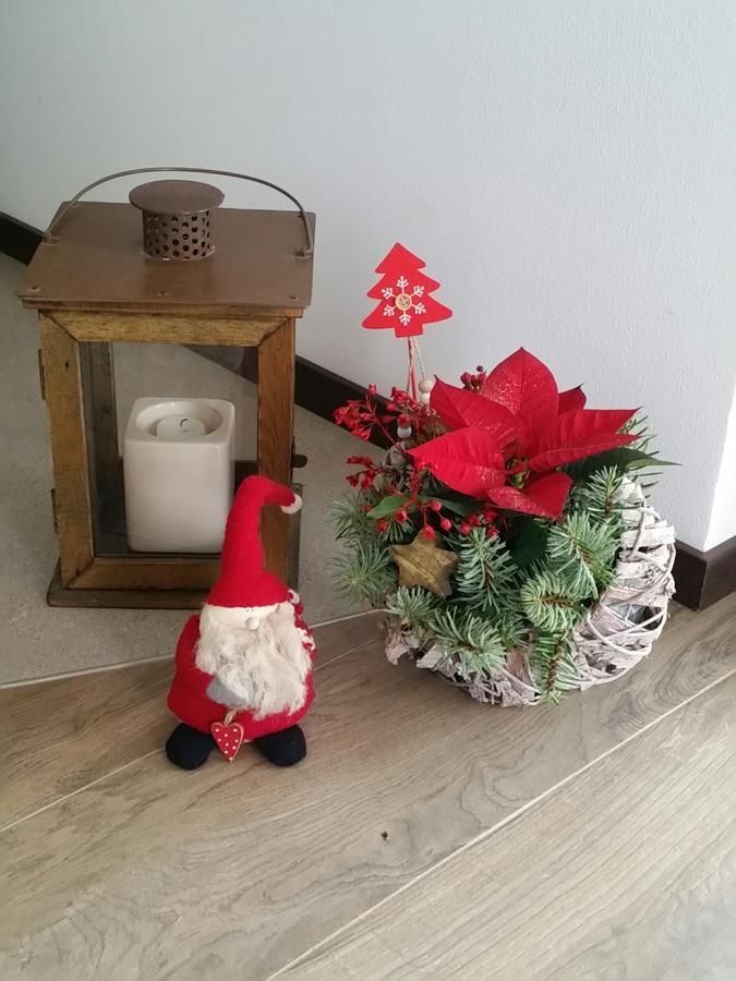 Masetto Egidio Eco-Agritur Villa Strigno ภายนอก รูปภาพ